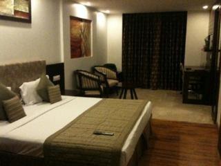 Le Roi Near Railway Station Hotel New Delhi